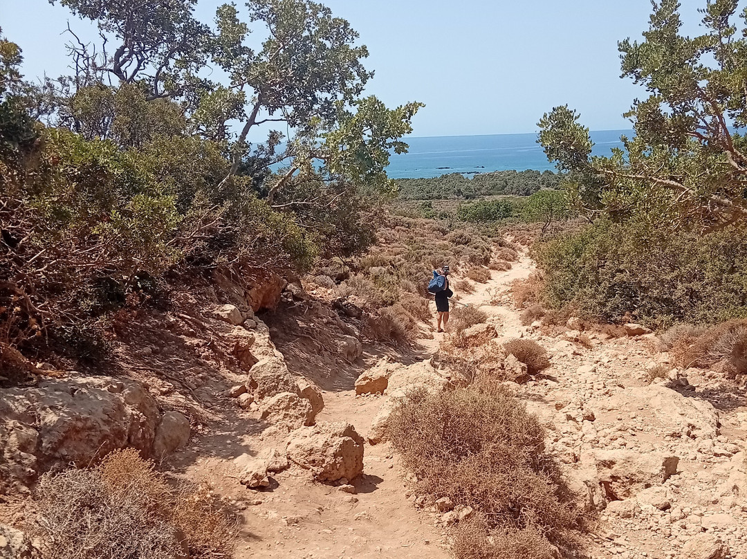 Kedrodasos Beach-基萨莫斯必去景点
