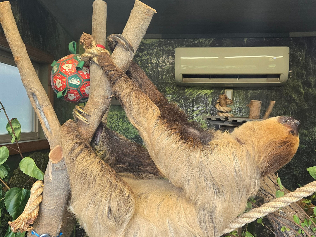Tanganyika Wildlife Park-Goddard必去景点