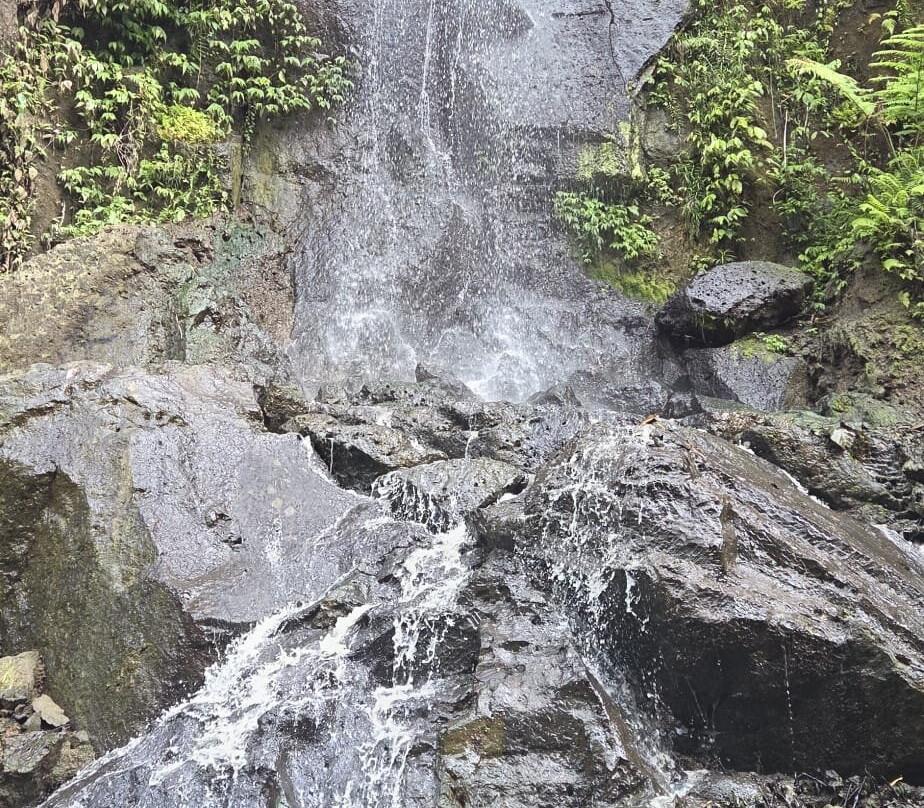 Merteyasa Bali Adventure-乌布必去景点