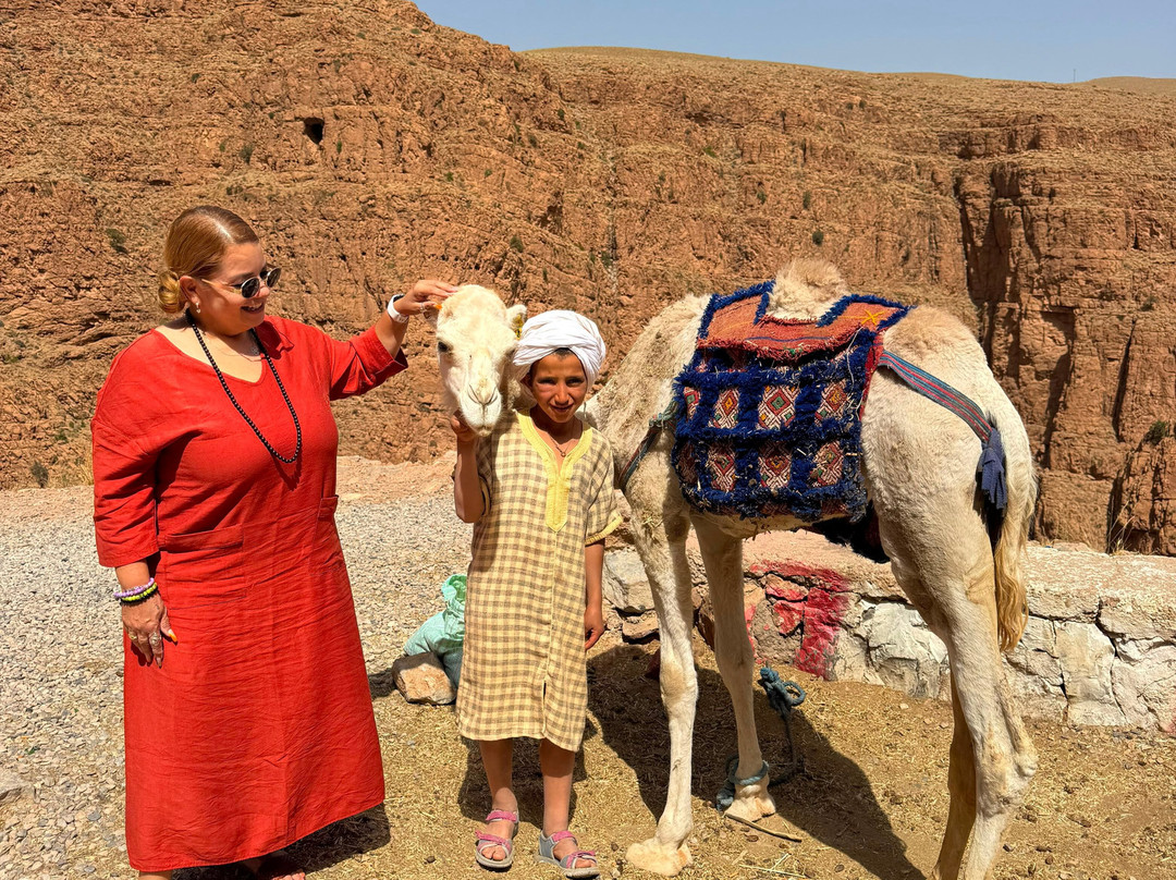 The Moroccan Guide-卡萨布兰卡必去景点