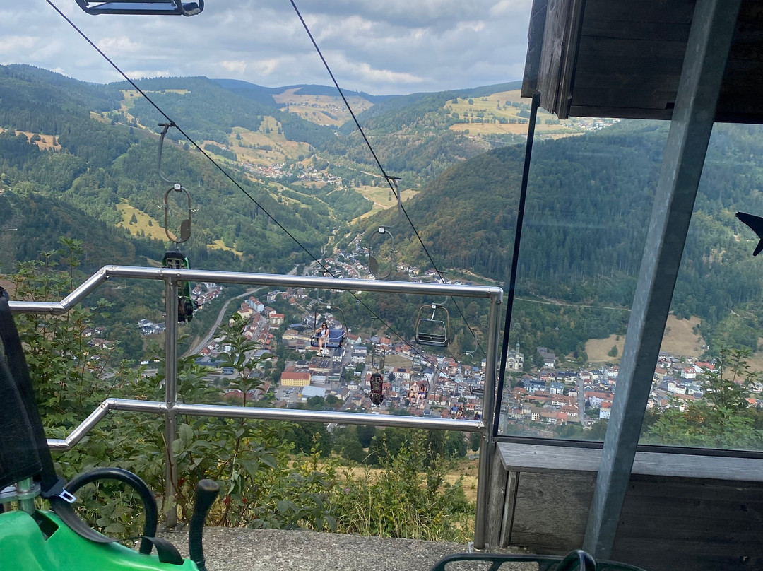 Hasenhorn Coaster Todtnau-托特瑙必去景点