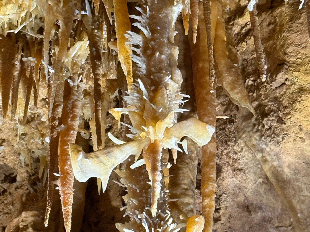 La grotte de Maxange-Le Buisson-de-Cadouin必去景点