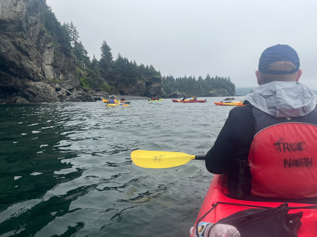 True North Kayak Adventures-荷马必去景点
