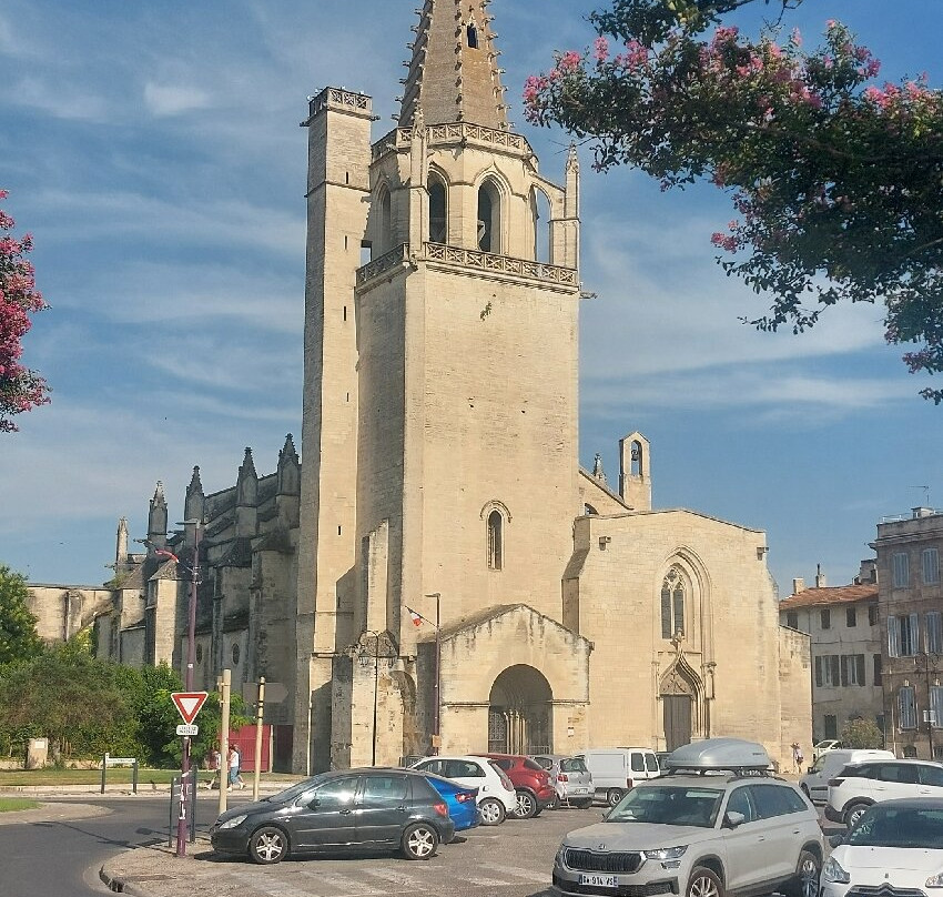 Église Sainte-Marthe de Tarascon-塔拉斯孔必去景点