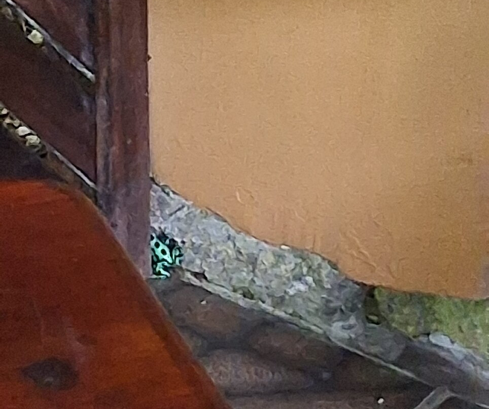 卡维塔阿特兰蒂达山林小屋主图