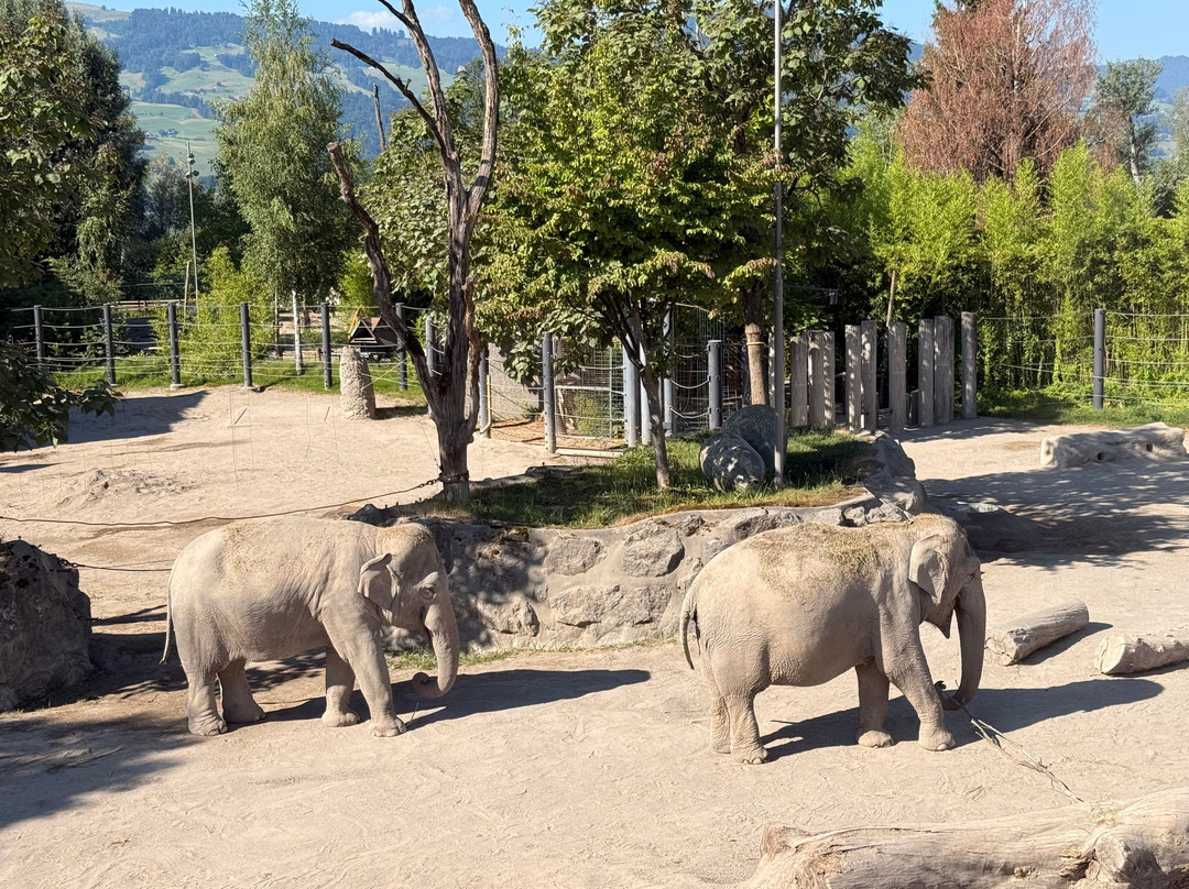 Knies Kinderzoo Rapperswil-拉珀斯维尔必去景点
