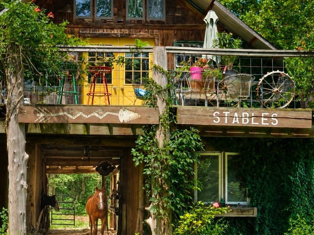 Lake Glendale Stables-Golconda必去景点