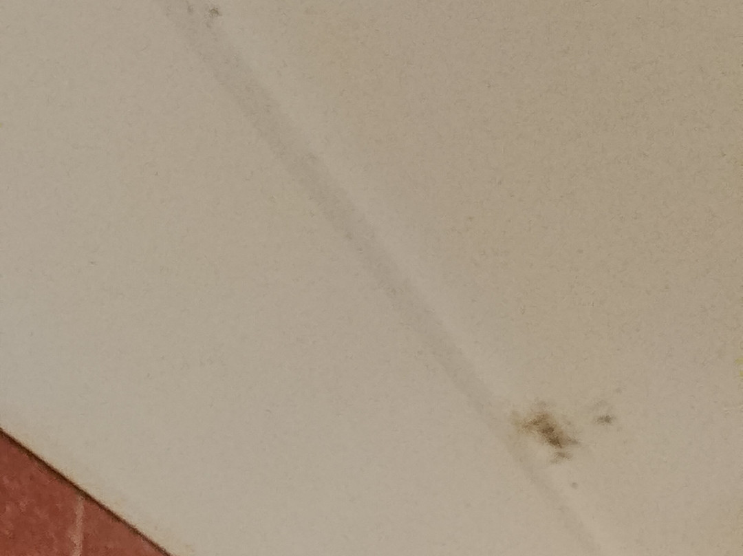 汉道夫旧磨坊汽车旅馆主图