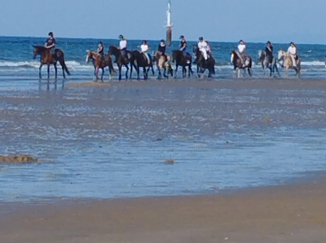 Centre Equestre de Ouistreham-乌伊斯特勒昂必去景点