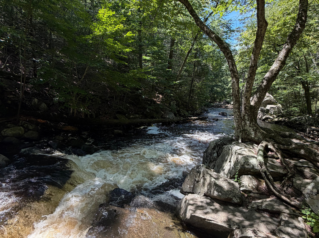 Hacklebarney State Park-Long Valley必去景点