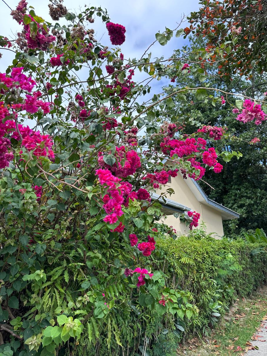贝尼克旅馆-旅行者