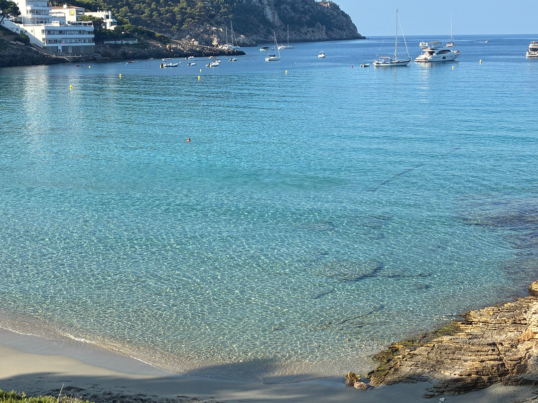 Platja De Sant Elm-Andratx必去景点