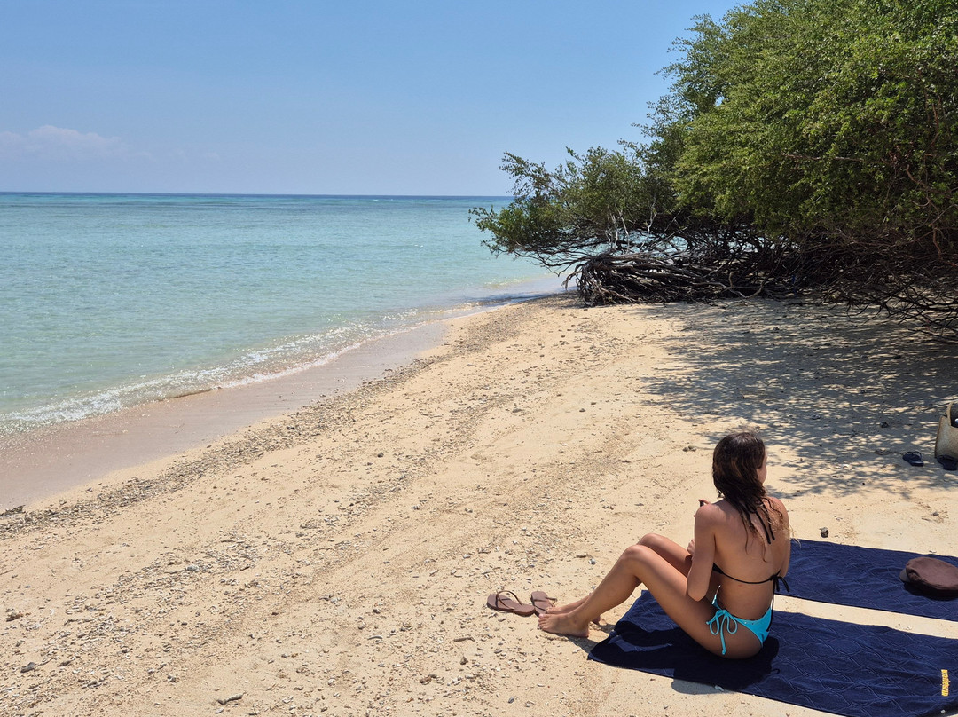 Menjangan Tour Snorkeling & Diving-Pejarakan必去景点