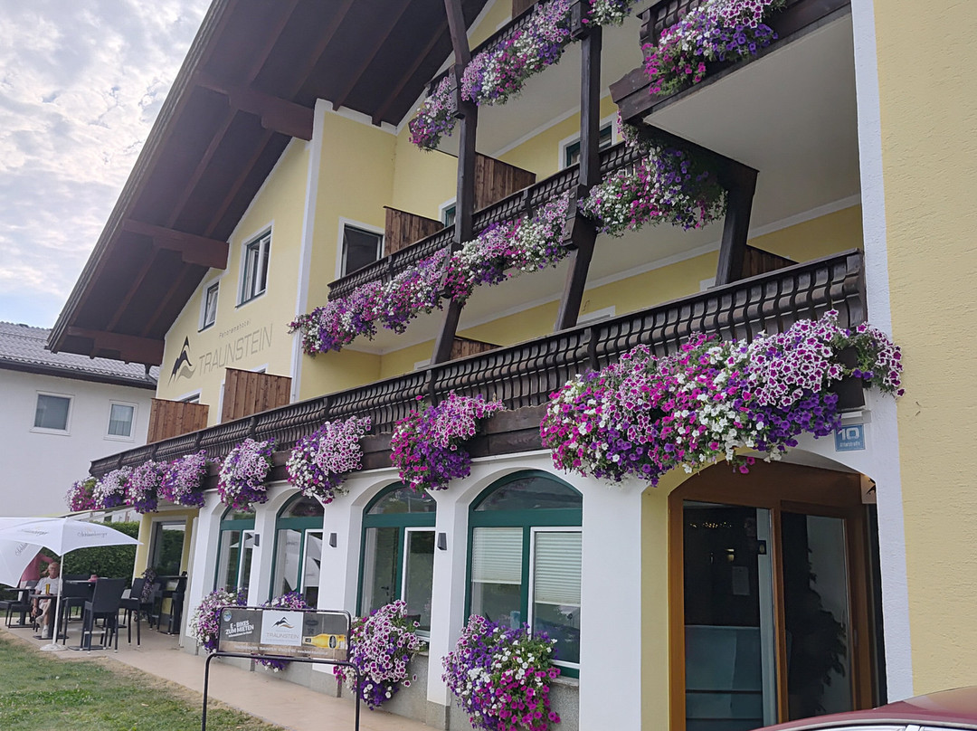 Panorama Hotel Traunstein主图