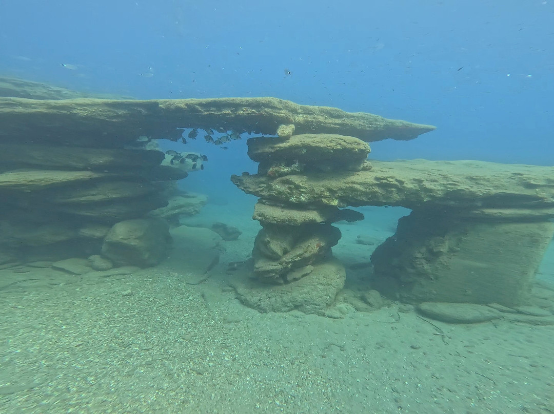 Hippocampus Dive Centre-巴厘必去景点