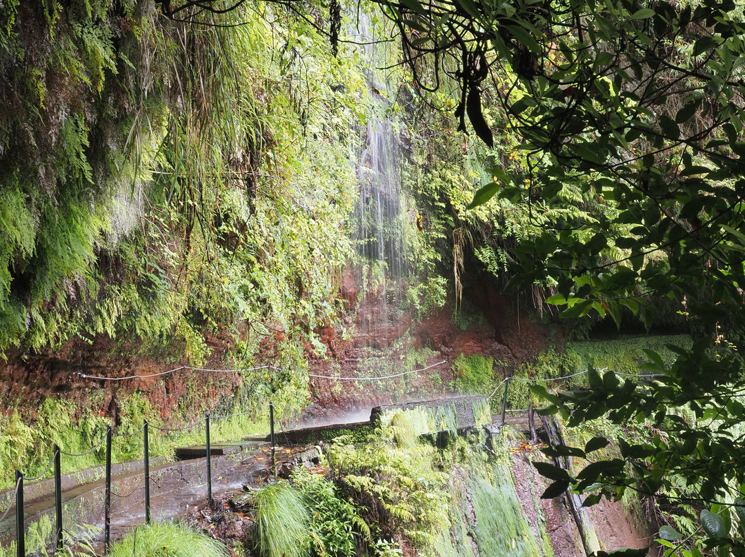 Levada Do Reí-Sao Jorge必去景点