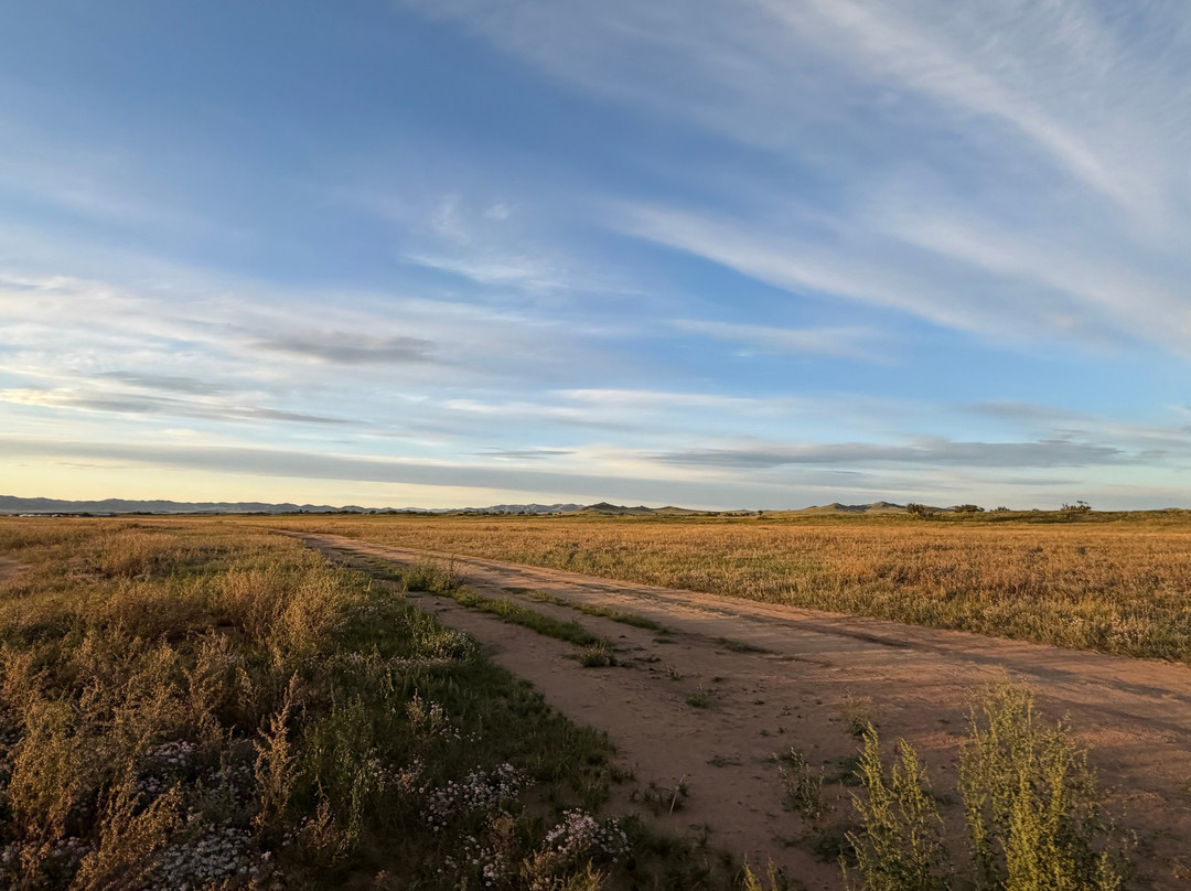 Hustai National Park-乌兰巴托必去景点
