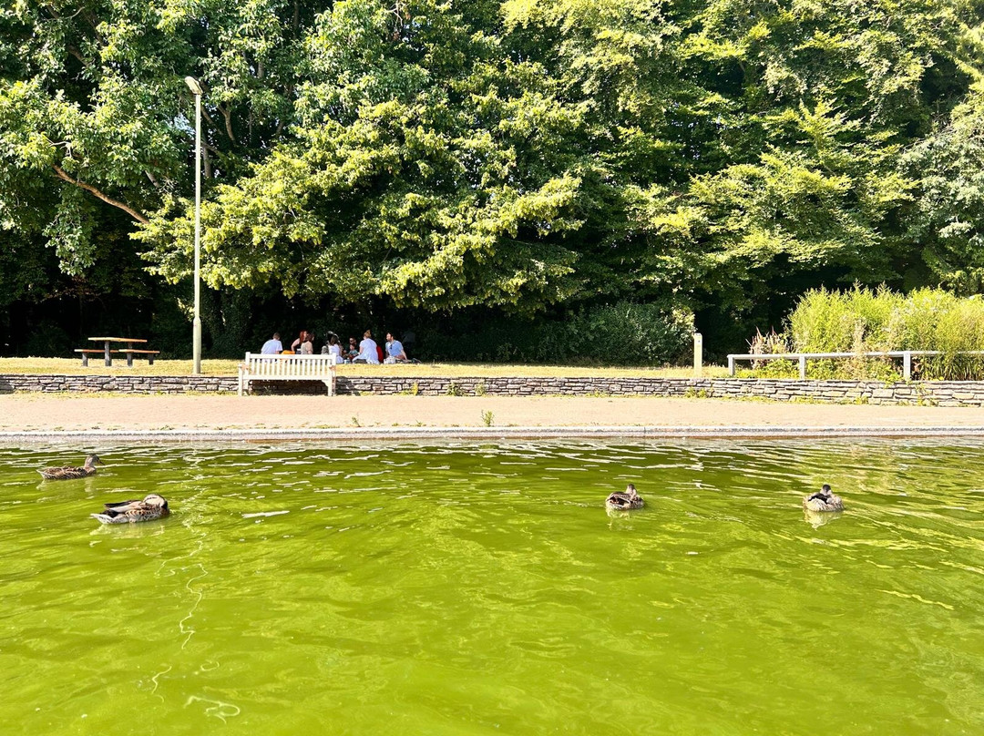 Eastrop Park-贝辛斯托克必去景点
