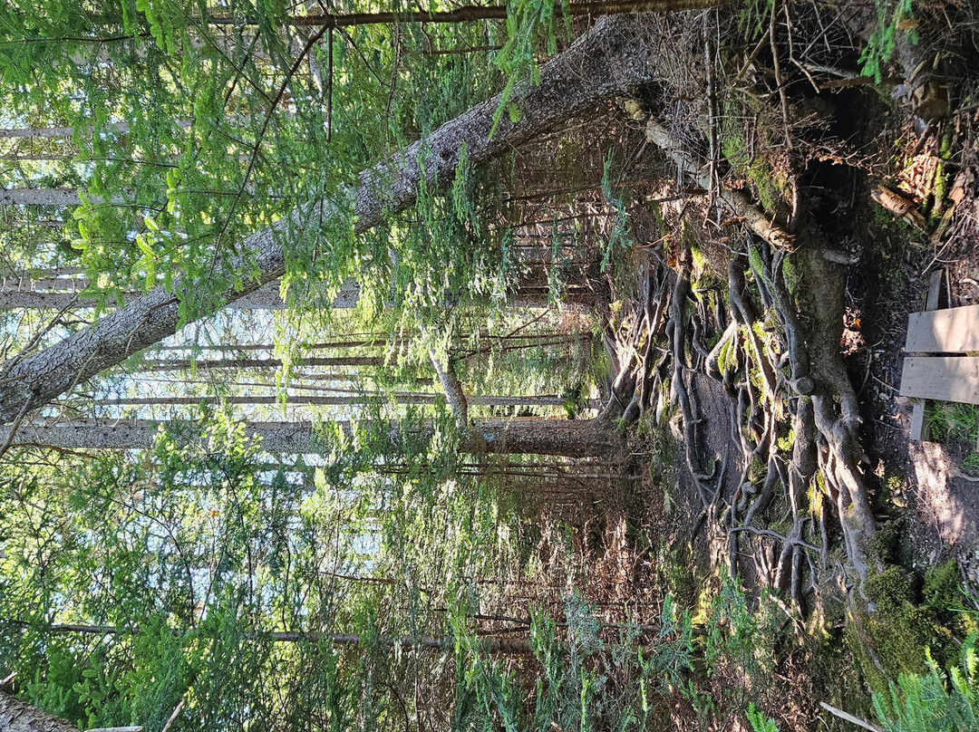 Barred Island Preserve-Deer Isle必去景点