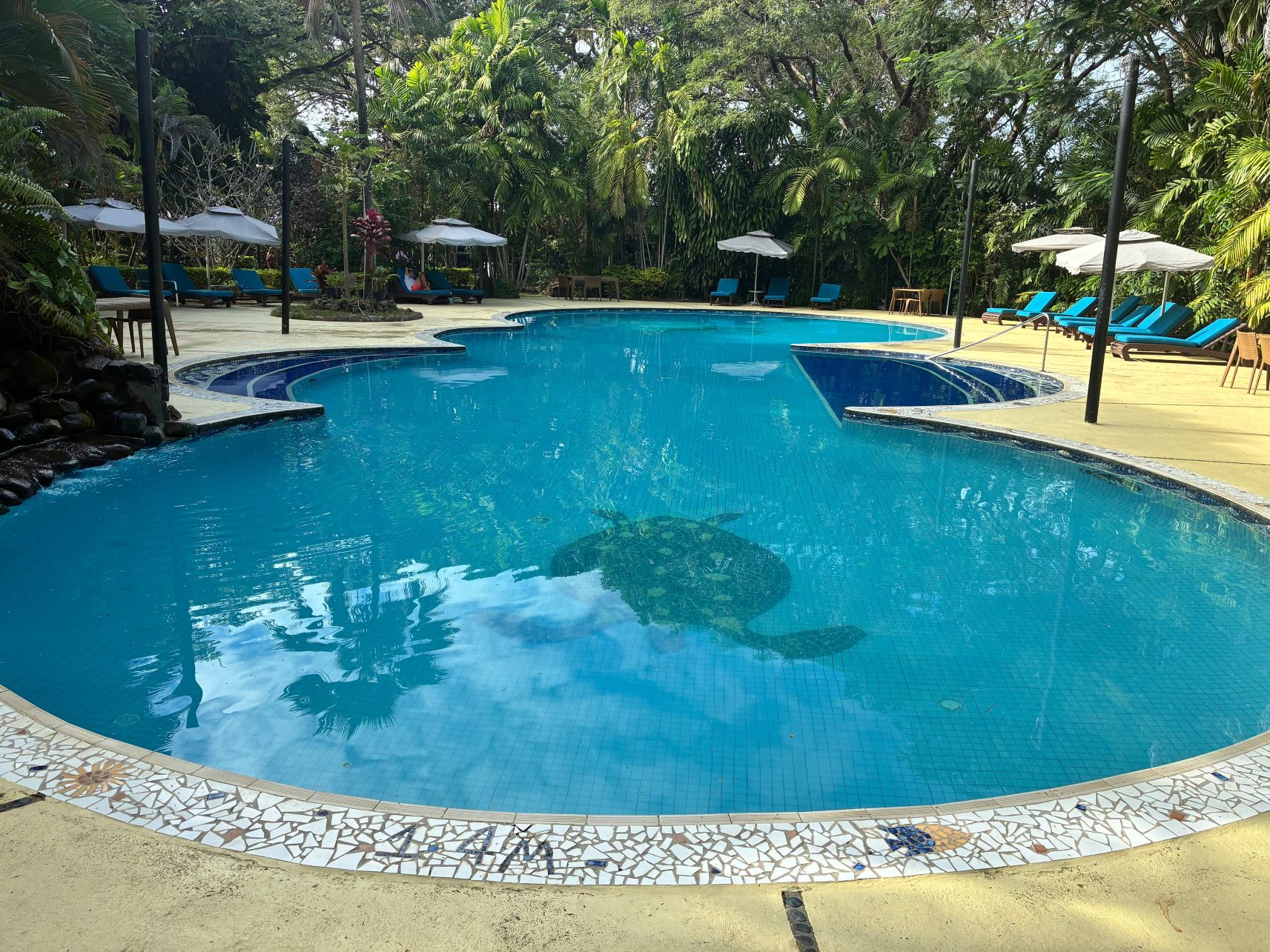 初登录海滩度假别墅酒店-旅行者