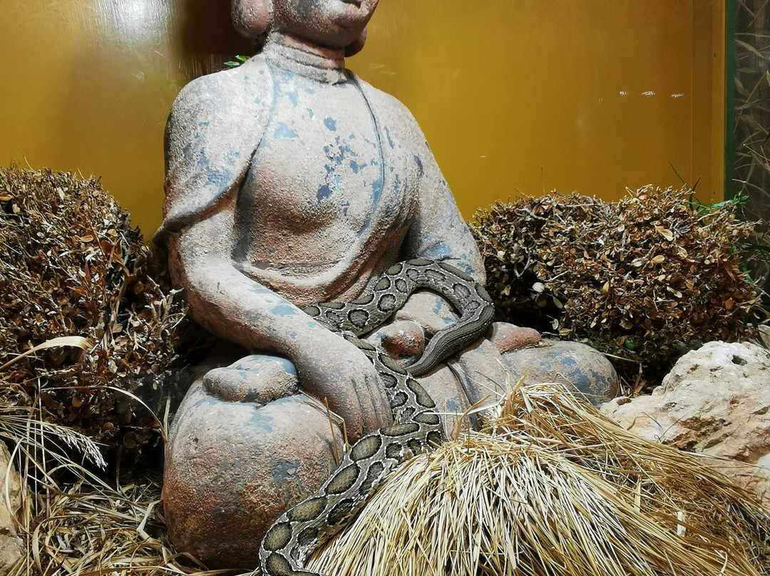 Reptilienzoo Nockalm-Patergassen必去景点