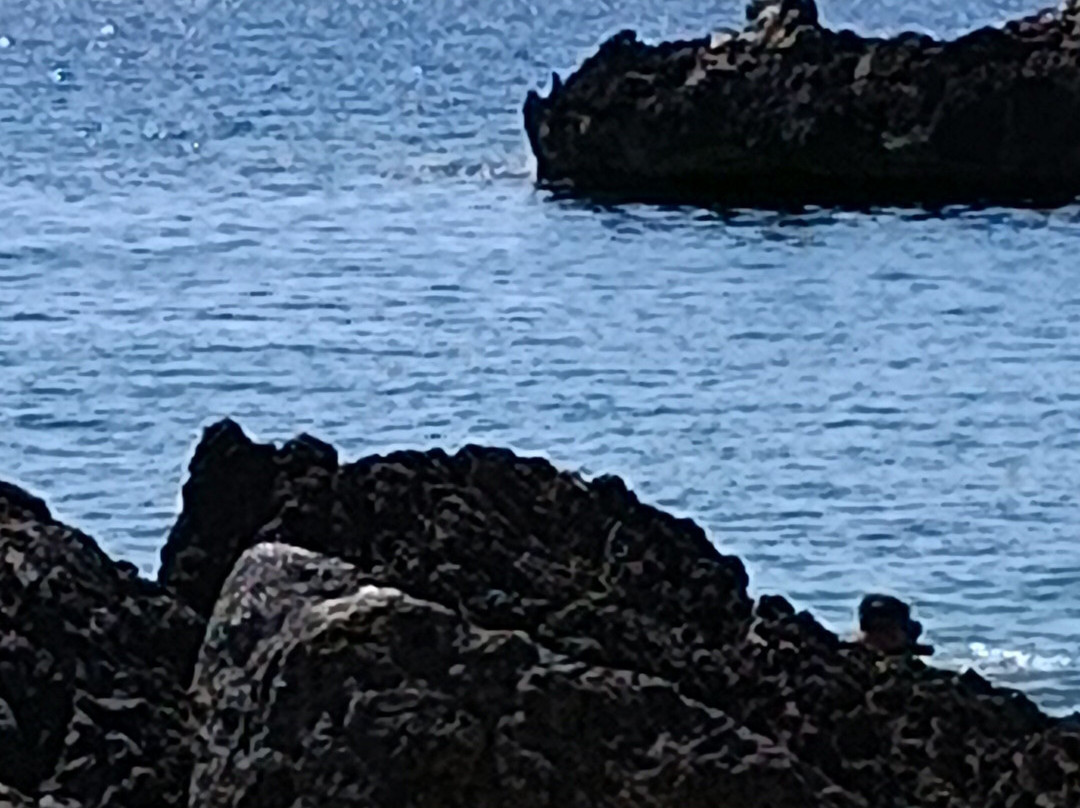 Spiaggia di Isulidda-Macari必去景点