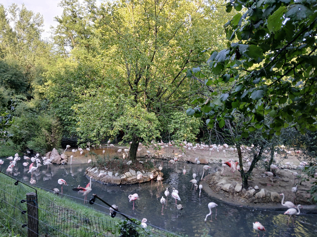 Parco Natura Viva-布索伦戈必去景点