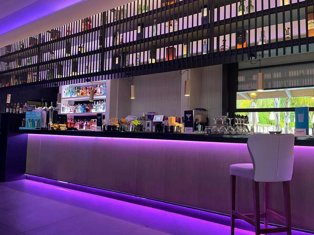 黄金萨劳海岸酒店 - 限成人主图