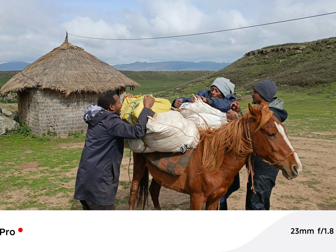 Bale Mountains Trekking Tours Ethiopia-Bale Robe必去景点