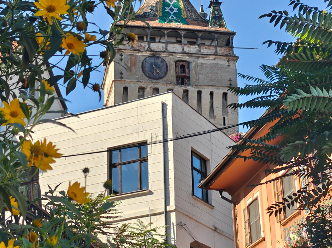 Centrul Istoric Sighișoara-锡吉索拉必去景点