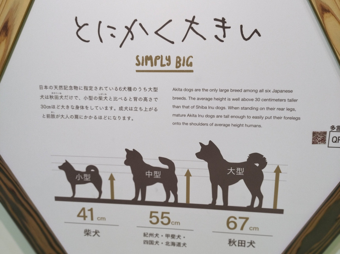 Akita Inu no Sato-大馆市必去景点