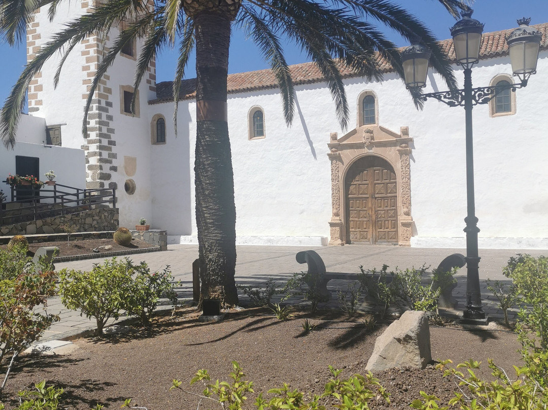 Cool Runnings-Caleta de Fuste必去景点