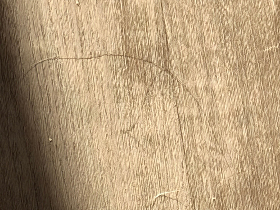 布法罗机场酒店主图