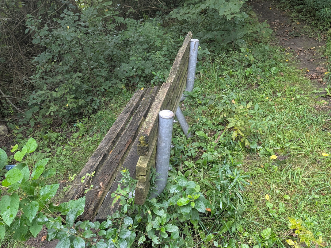 Dumfries Conservation Area-坎布里奇必去景点