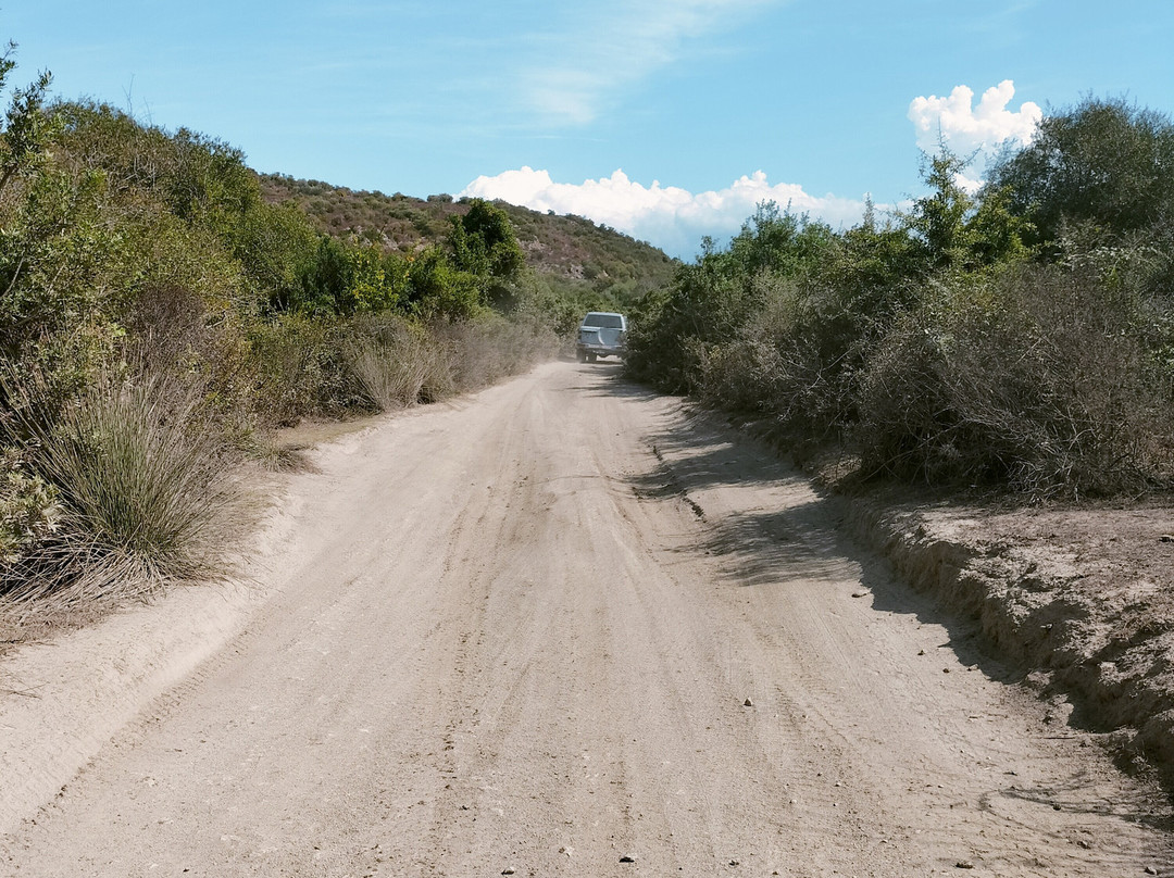 Saleccia Off Road-Saint Florent必去景点