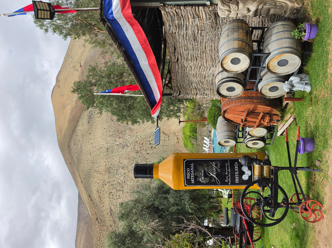 Doña Josefa de Elqui - Pisco Artesanal-Pisco Elqui必去景点
