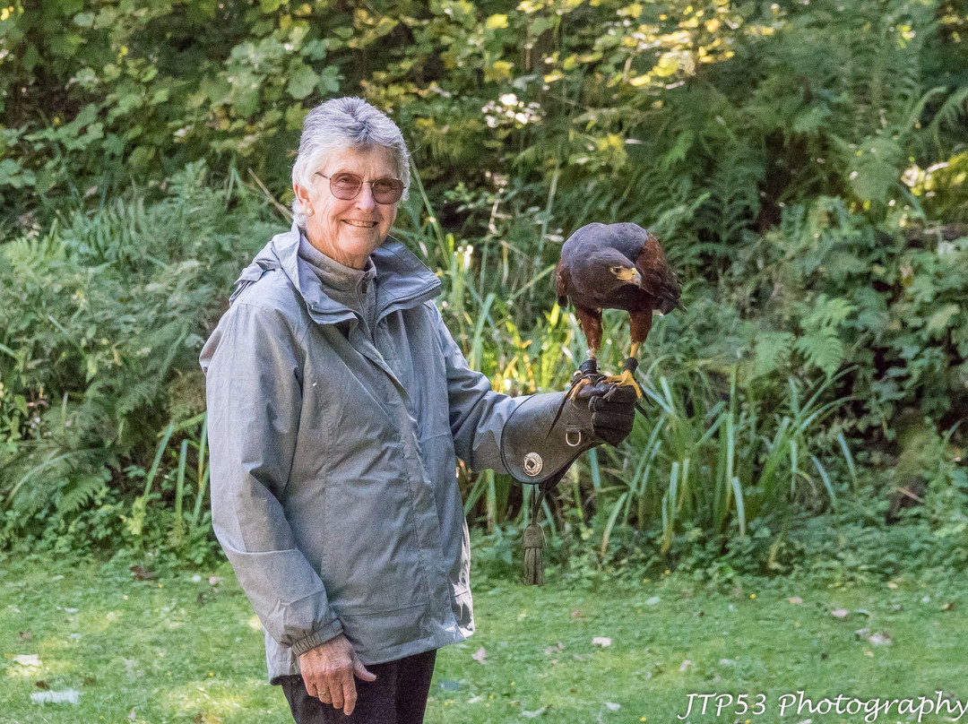 Loch Lomond Bird Of Prey Centre-Balloch必去景点