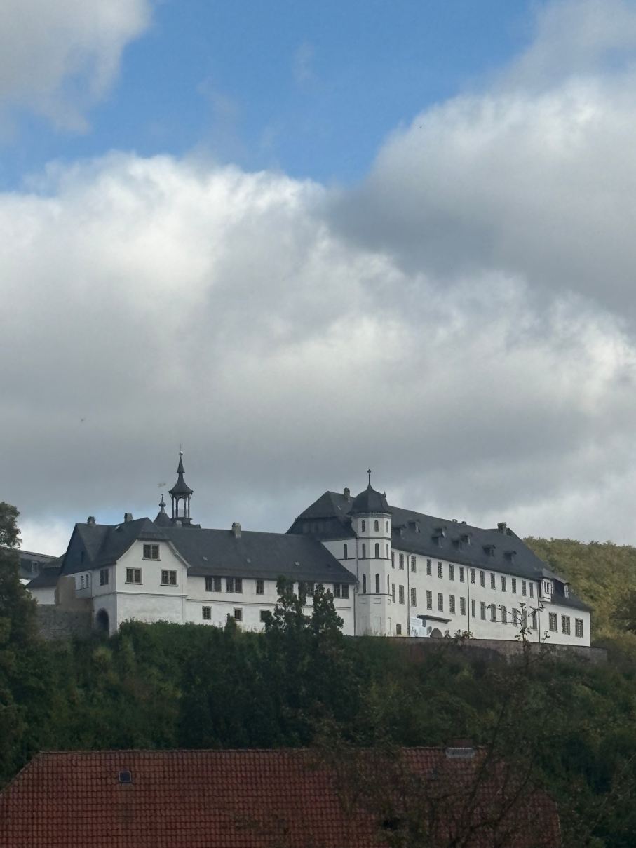 祖姆布格伽藤酒店-旅行者
