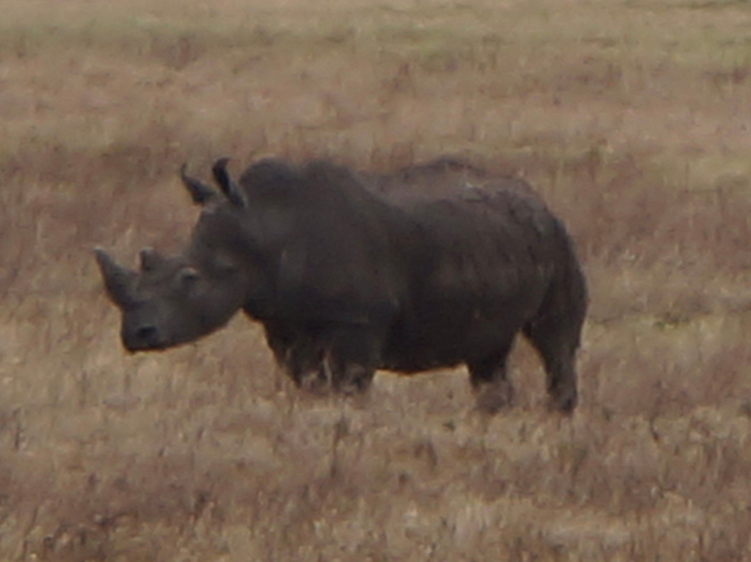 Tanzania-Experience-阿鲁沙必去景点