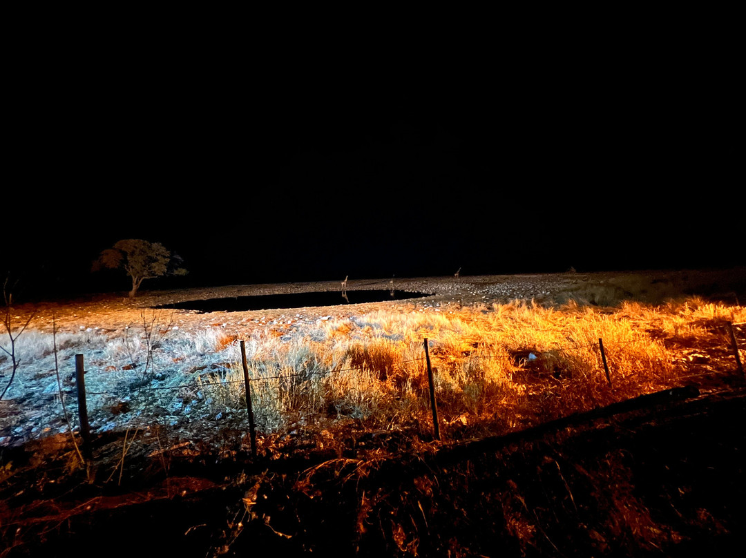Okaukuejo waterhole-纳米比亚埃托沙国家公园必去景点