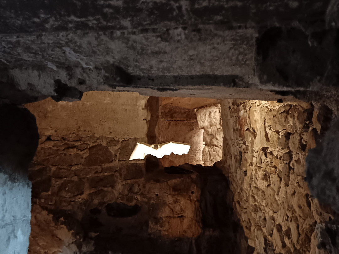 Fontaines Petrifiantes de Saint-Nectaire-Saint-Nectaire必去景点