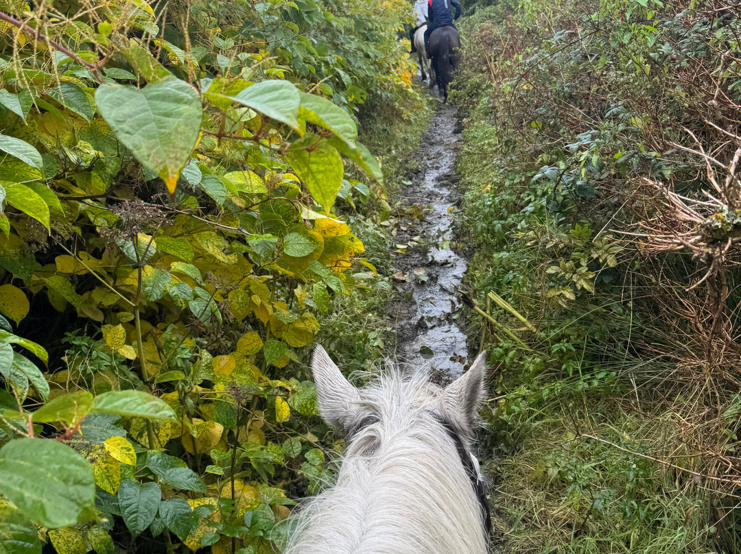 Mountain View Horse Riding Centre-Lisdoonvarna必去景点