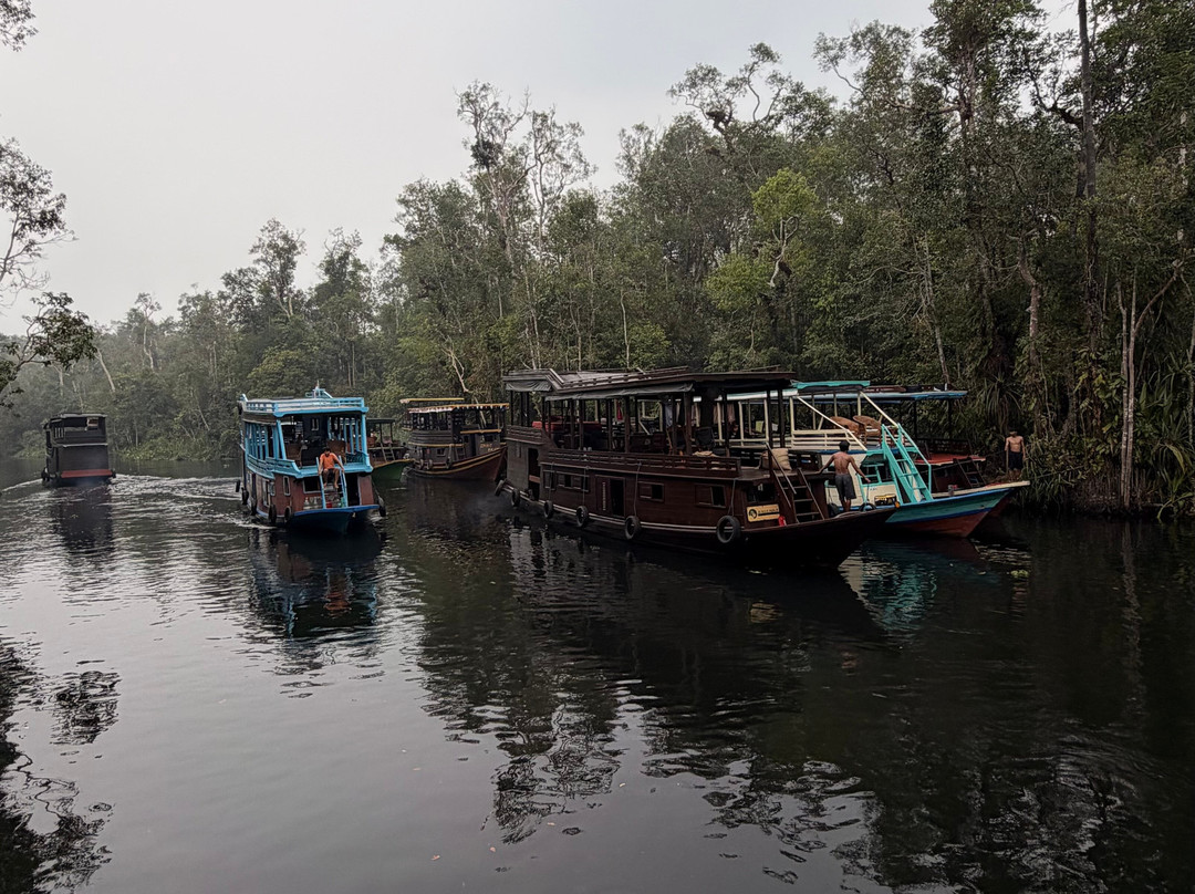 Guia En Borneo-Pangkalan Bun必去景点