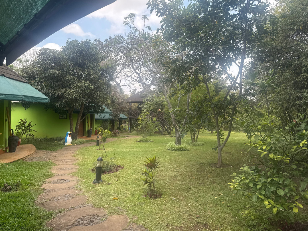 趣味度假屋度假村 - 阿育吠陀 Spa 酒店主图