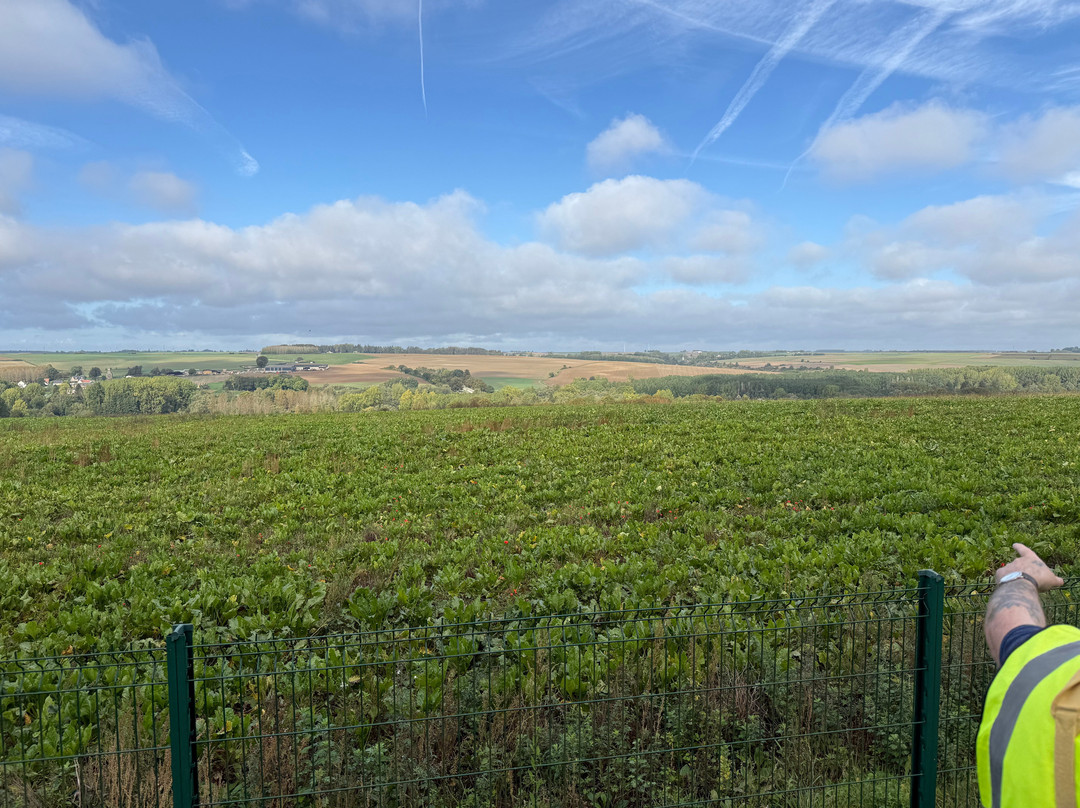 Ulster Memorial Tower & Thiepval Wood-Thiepval必去景点