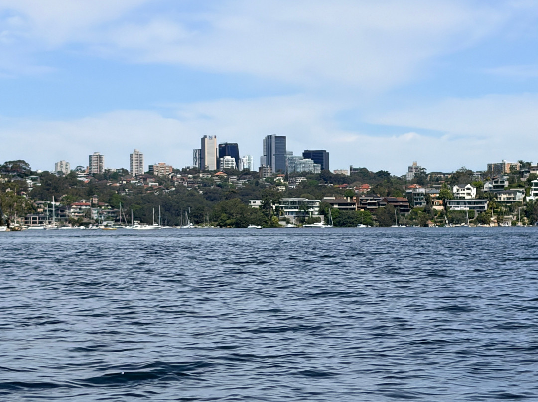 Sydney Harbour Kayaks-莫斯曼必去景点