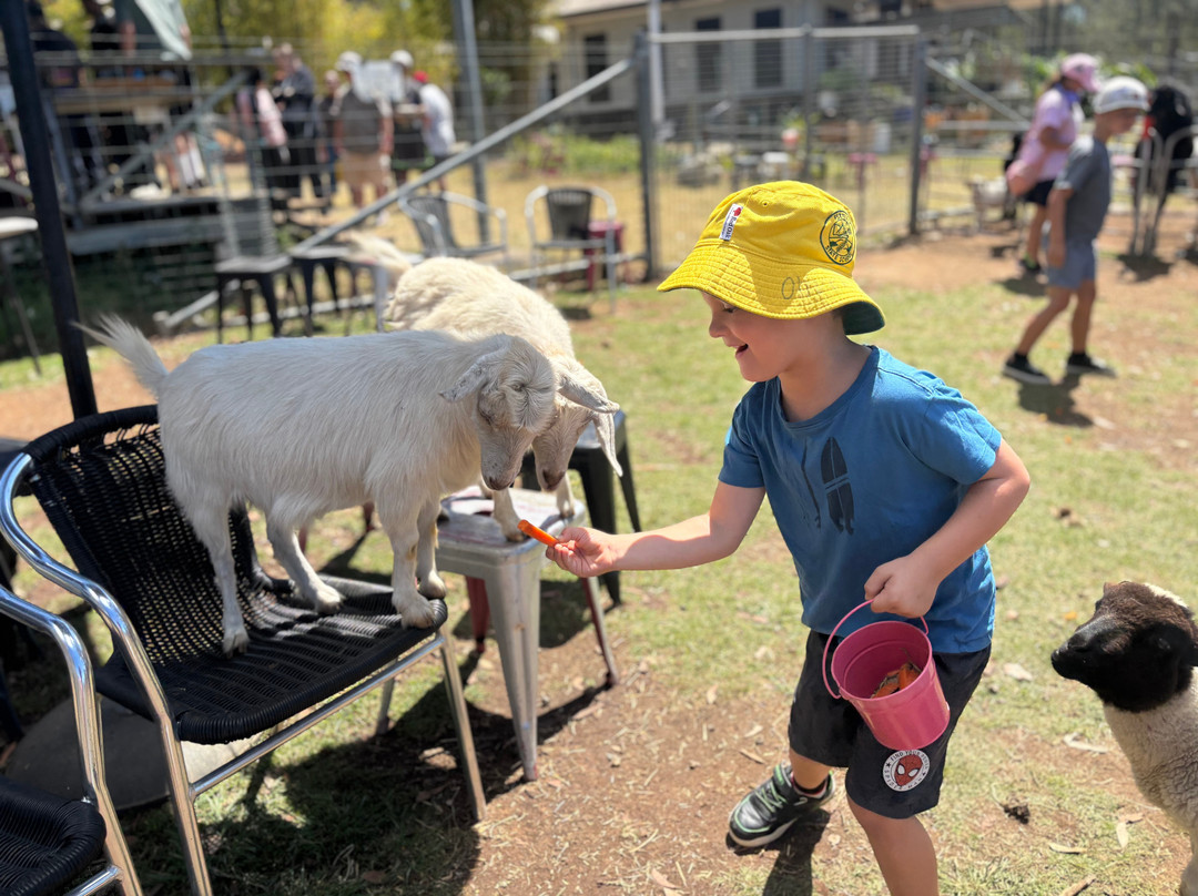 EWE Nique Hobby Farm Haigslea-Haigslea必去景点