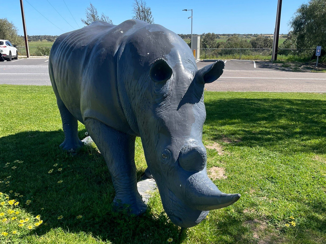 Cosi's Rhino-Tailem Bend必去景点