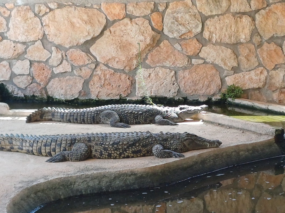 Pafos Zoo-帕福斯必去景点