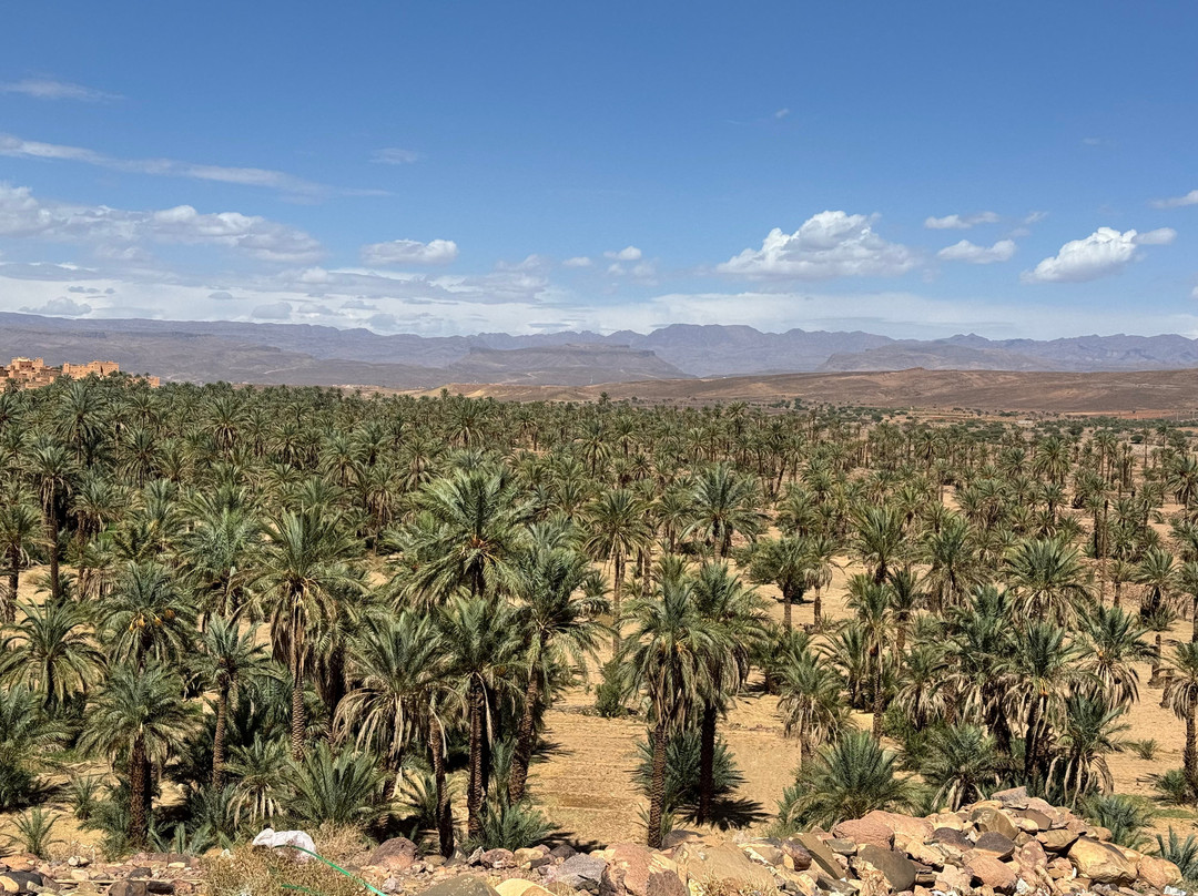 Discover Morocco Trips-非斯必去景点